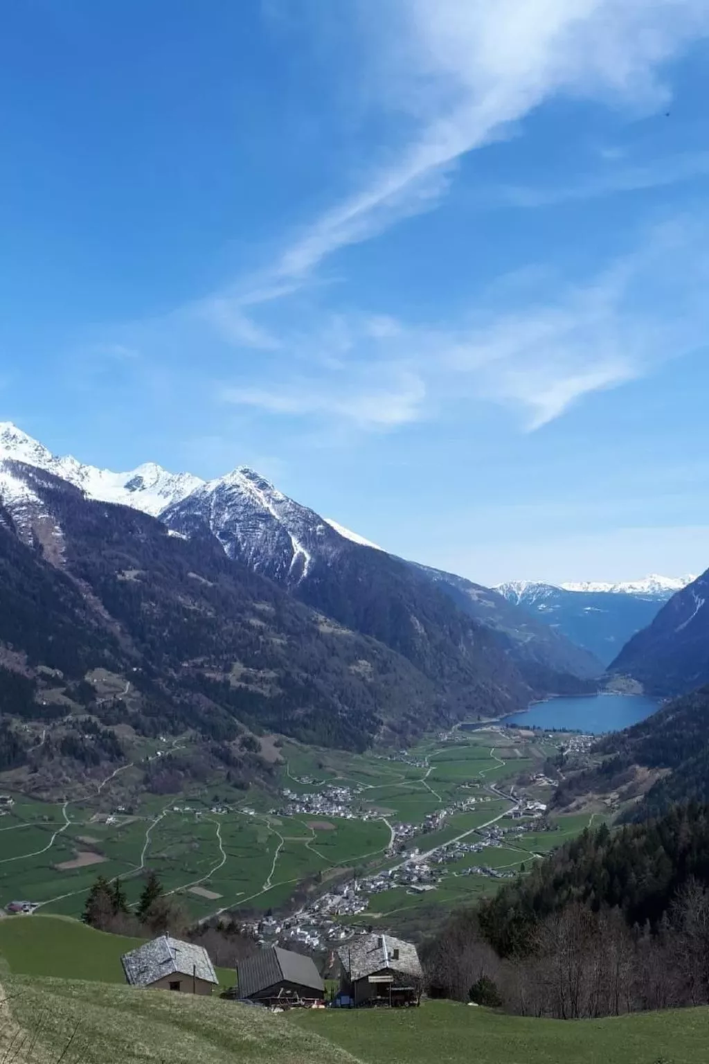 Sonnige 2.5-Zimmer Wohnung an ruhiger Lage-Buiten