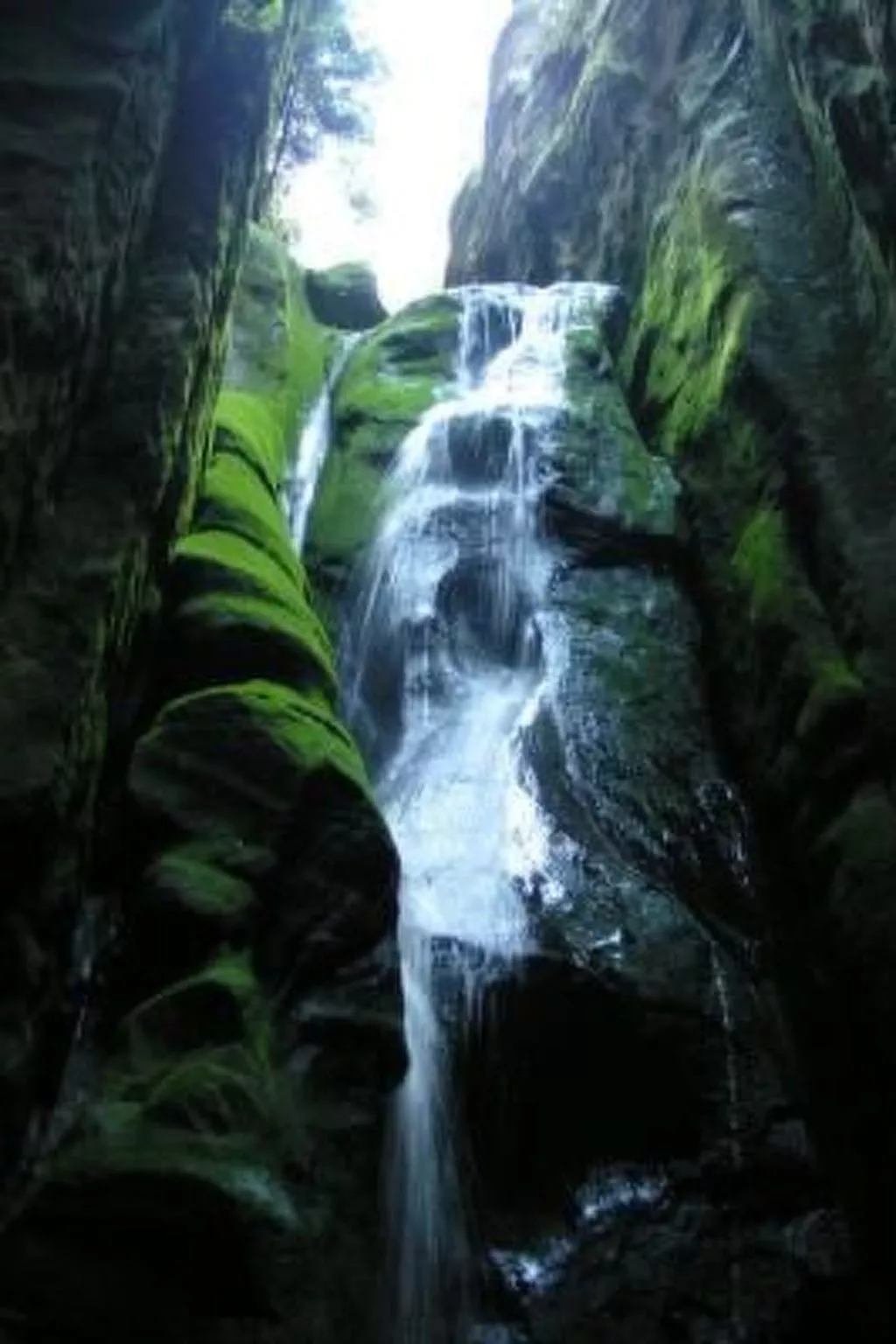 In natürlicher Umgebung-Buiten