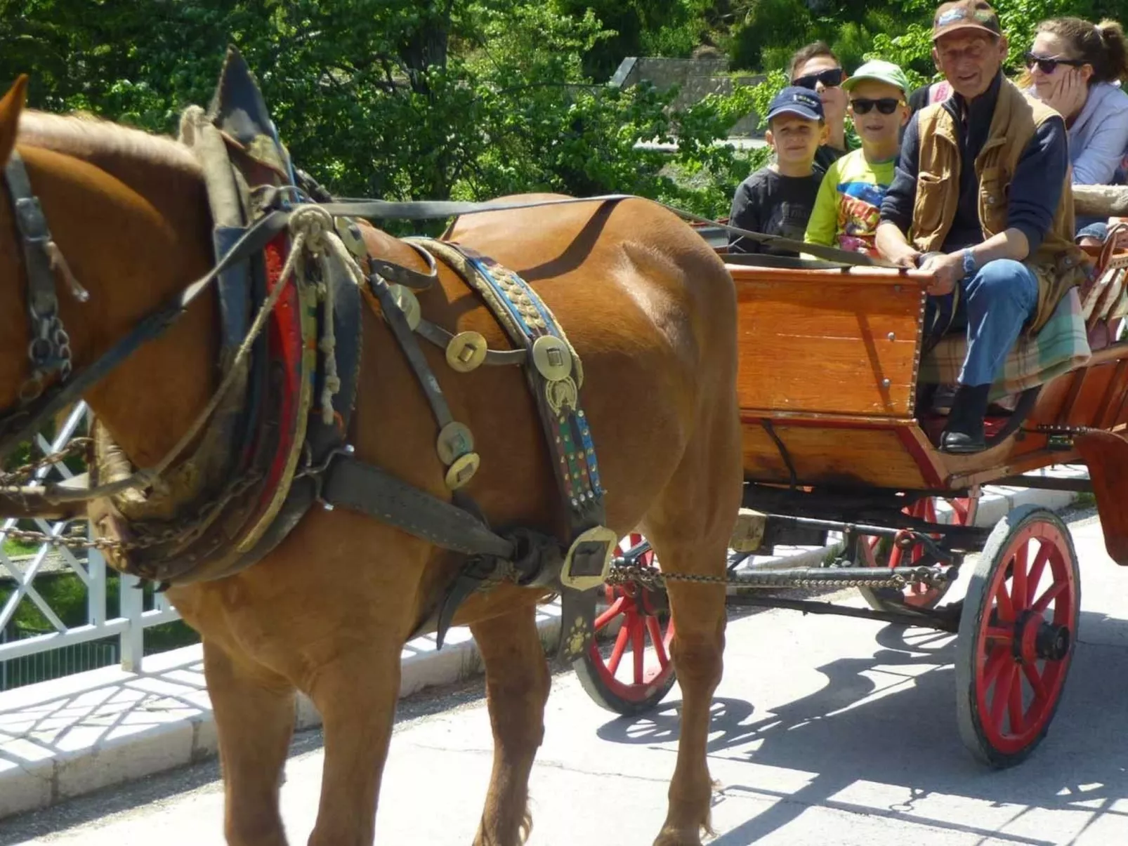 Rijeka Wohnungen - Terra Magica Deluxe Wohnung-Image-tags.info