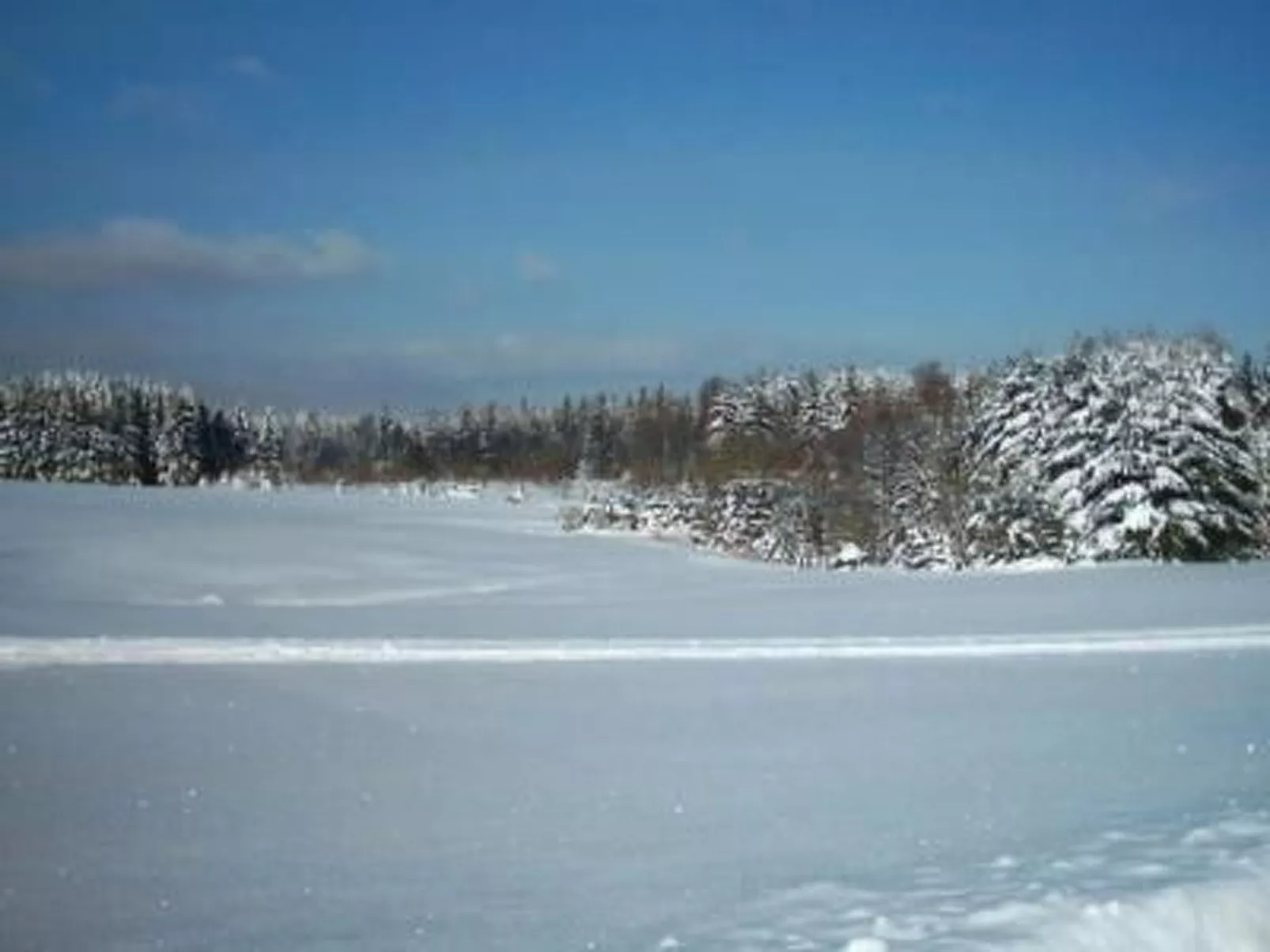 Haus "Hermann"-Buiten