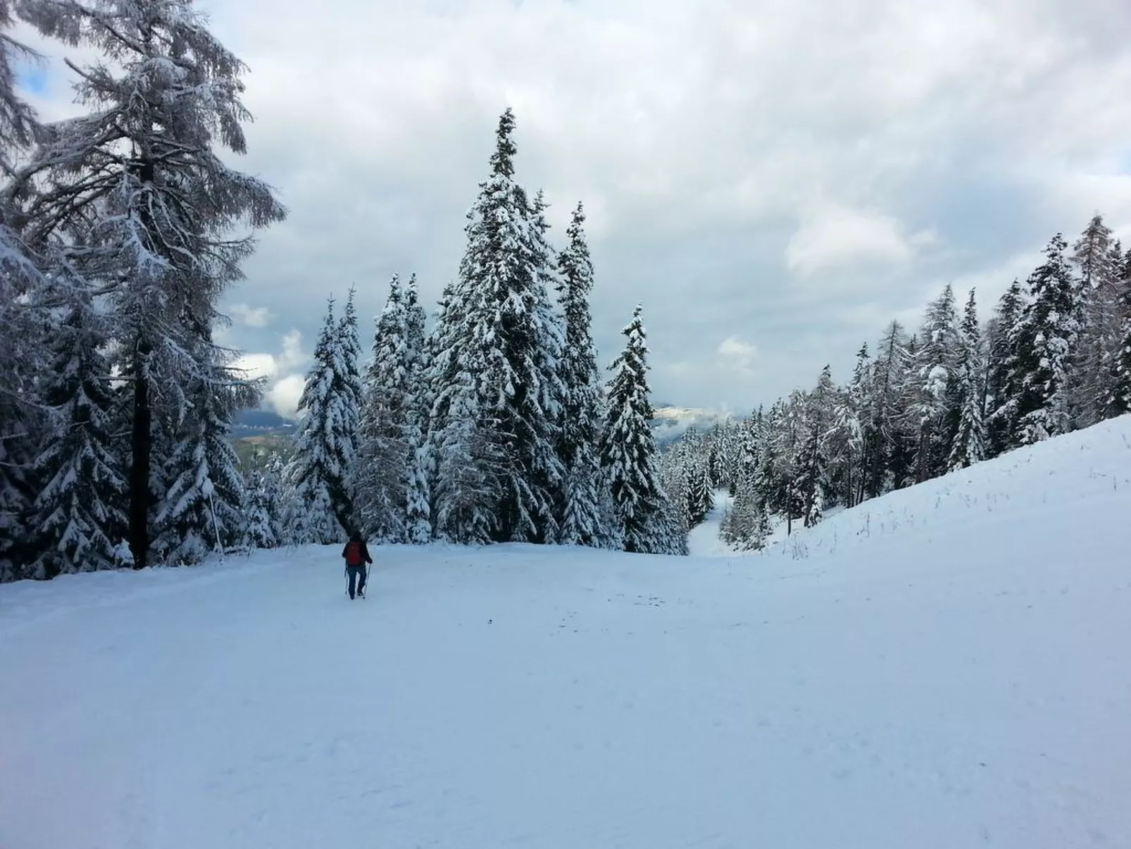 Wellnesschalet-Buiten