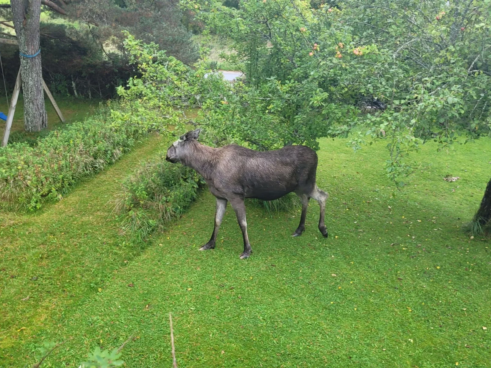 Villa Solsken-Buiten