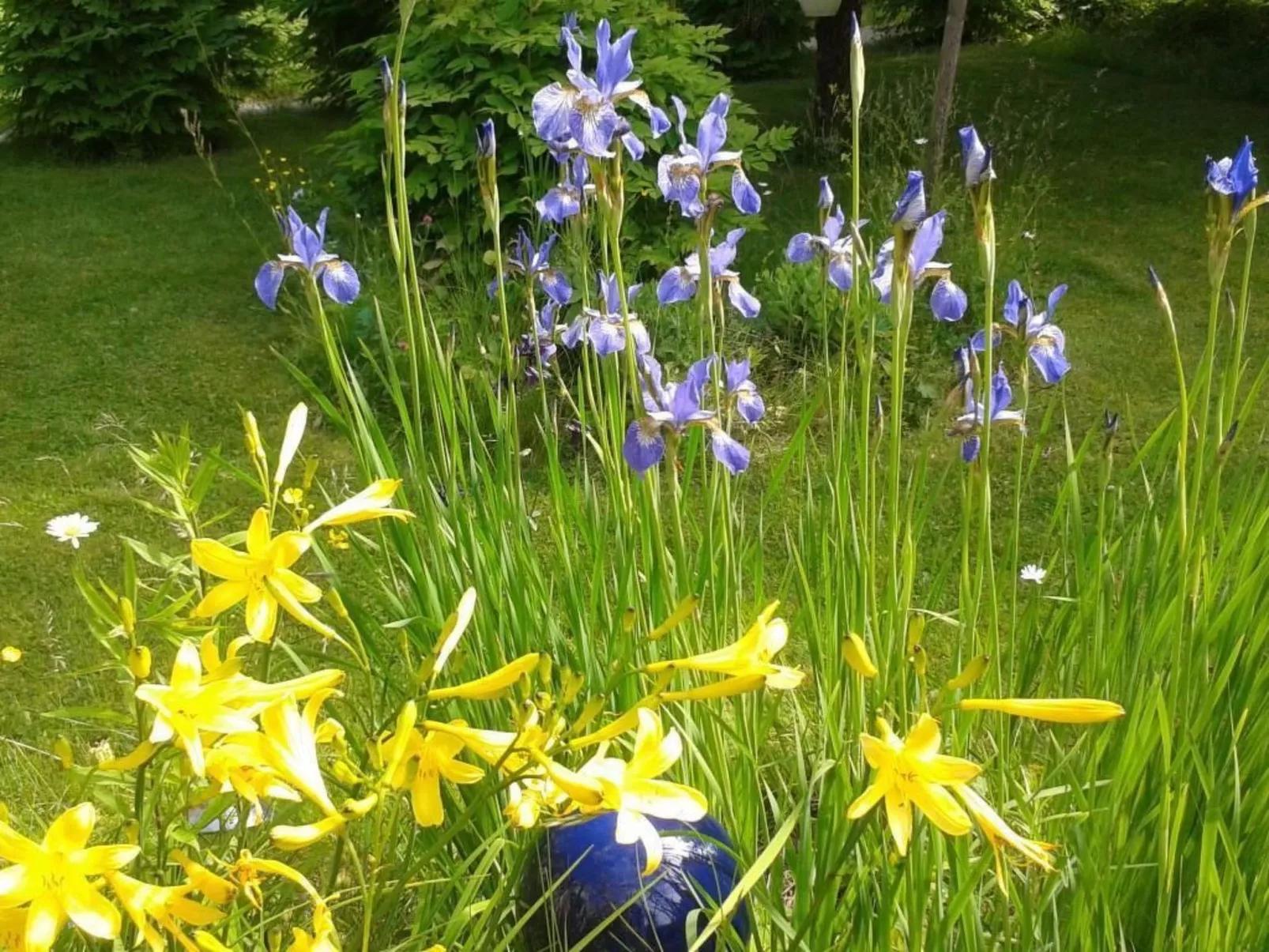 Gemütliches Haus in Arvika mit Garten und Grill-Buiten