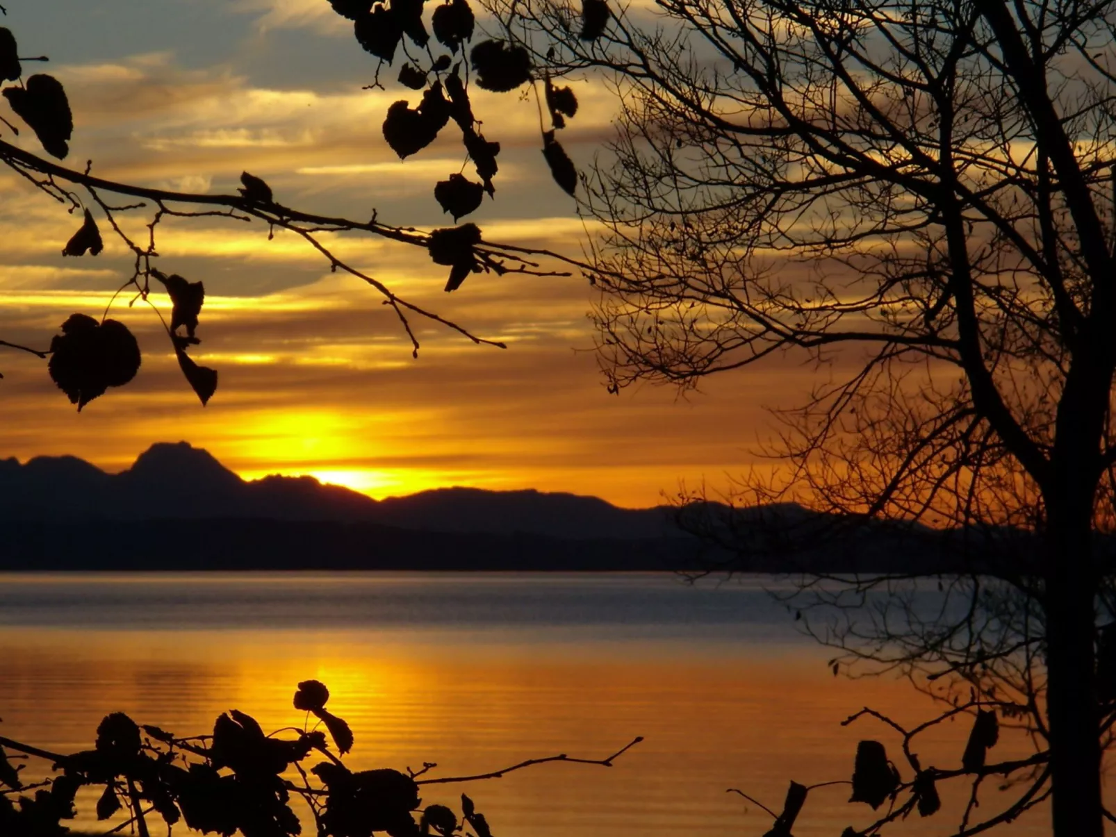 Betttis Bungalow-Image-tags.info