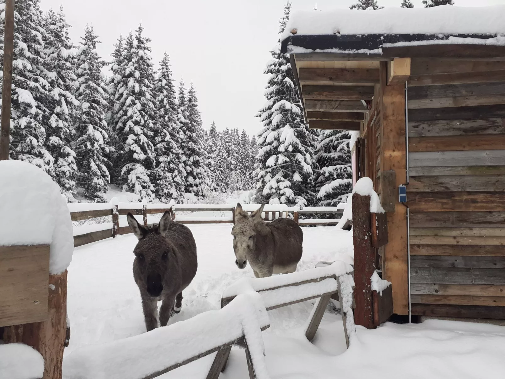 Schönberghütte-Buiten