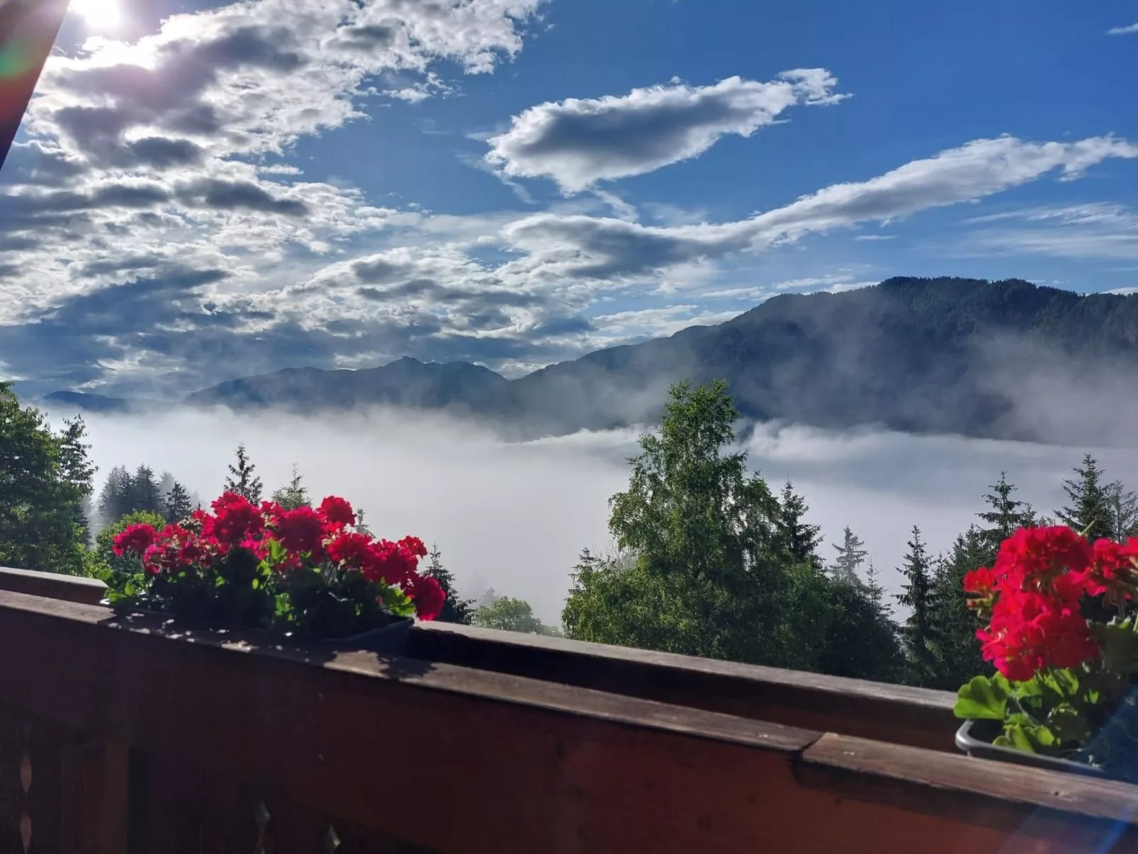 Reißkofel in Steinfeld-Buiten
