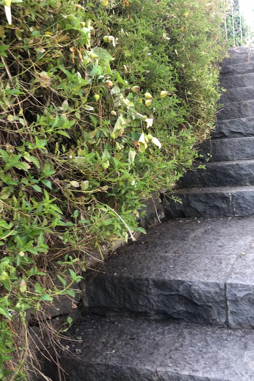 Villa mit Wasserblick-Buiten