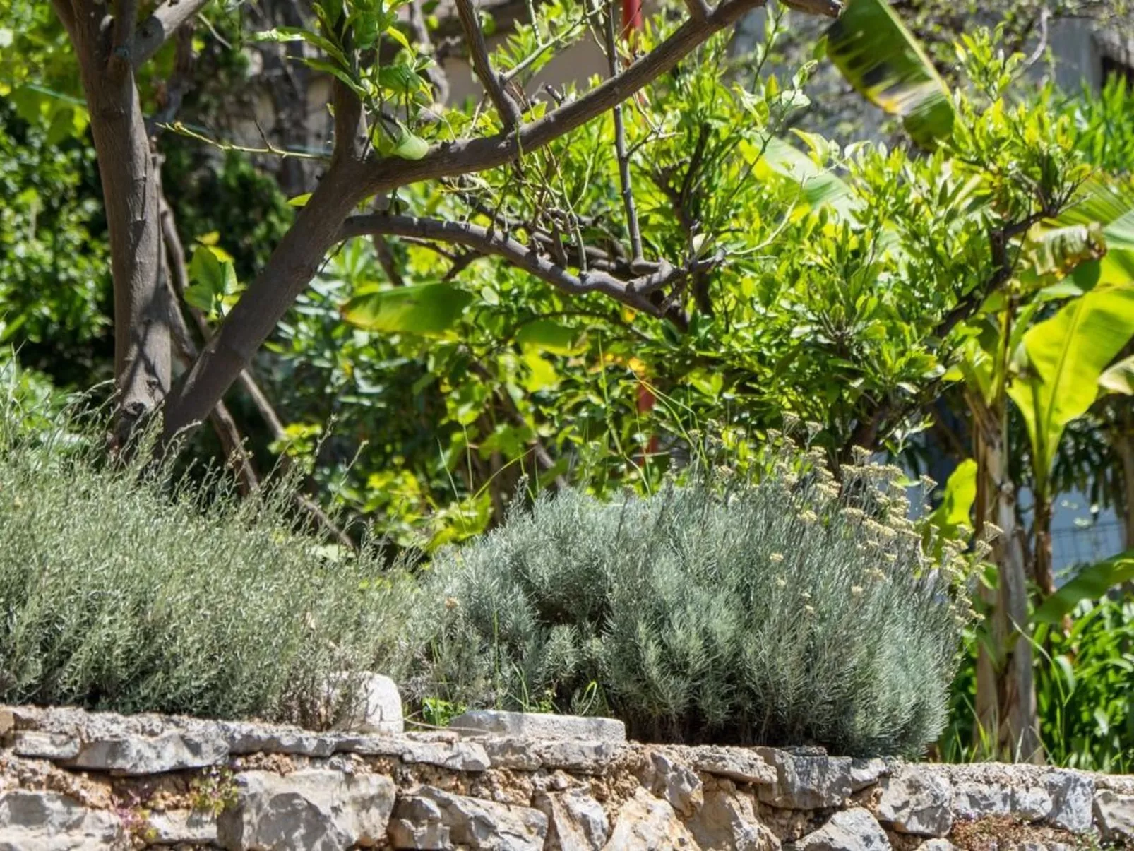 Villa Magnolia – Apartment Magnolia-Buiten