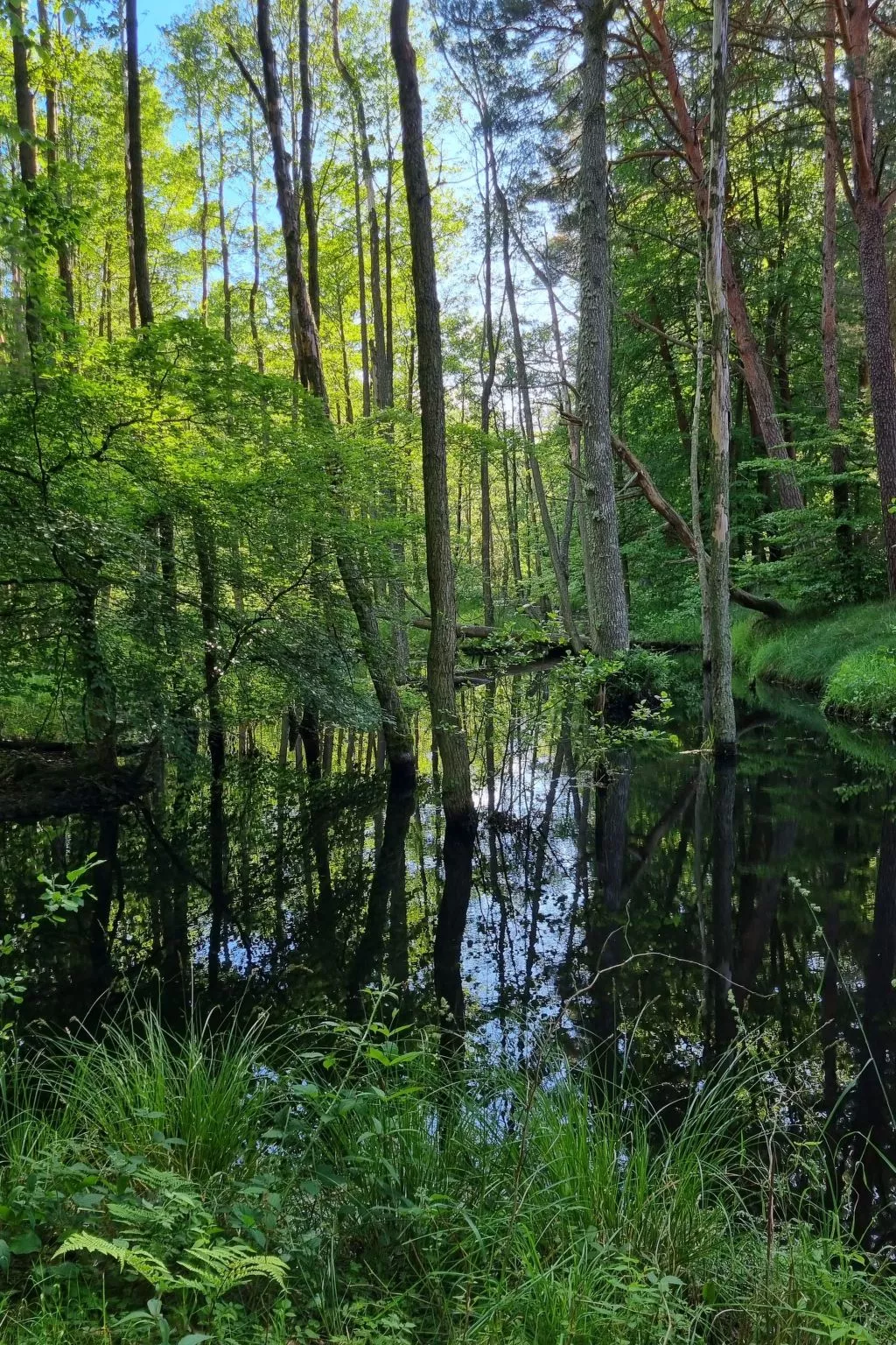 Lublewo21 Ferienhäuser - Buiten