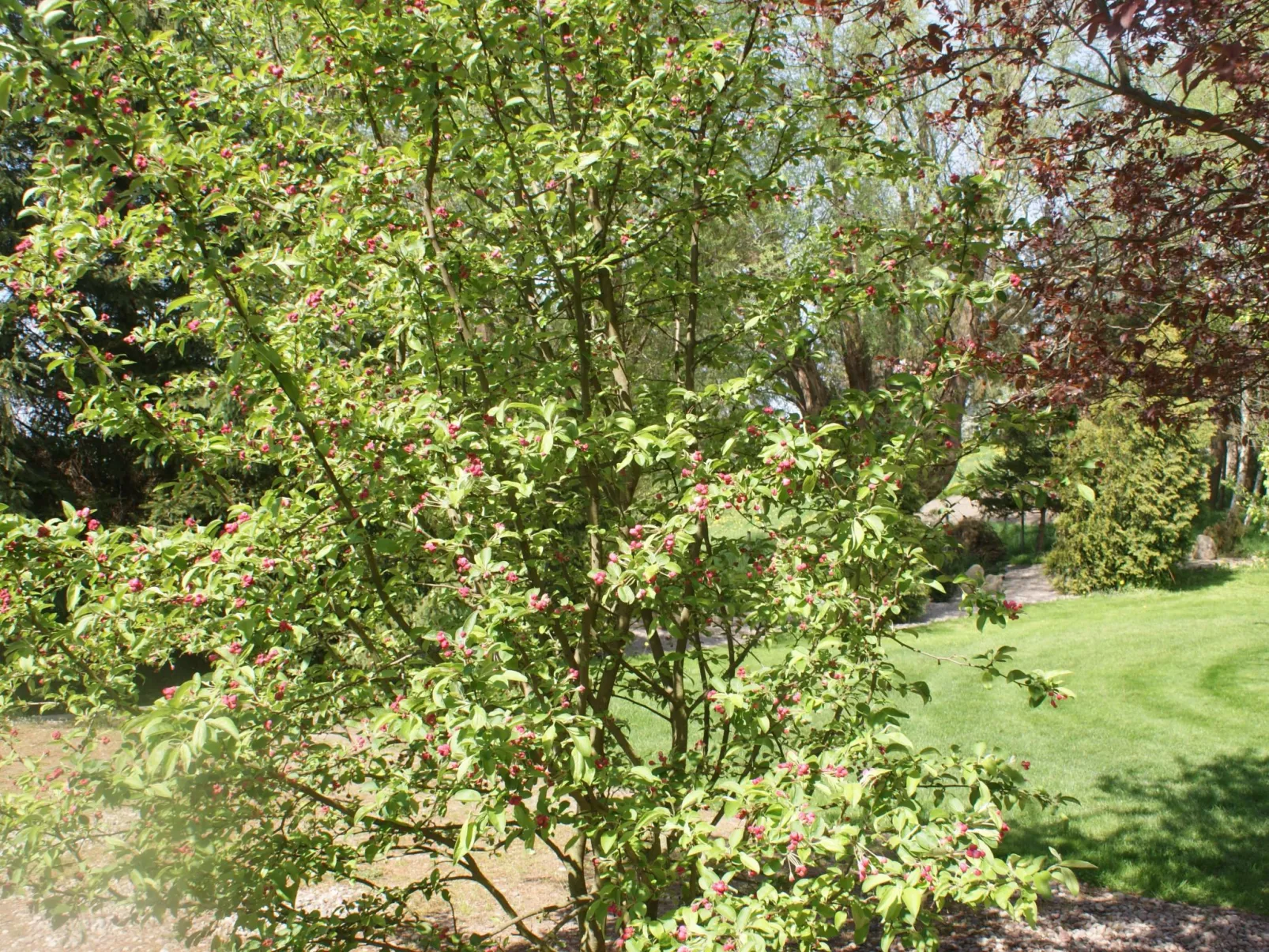 Meeresdorf Stille - Ferienhäuser in den Gärten von Magra-Buiten