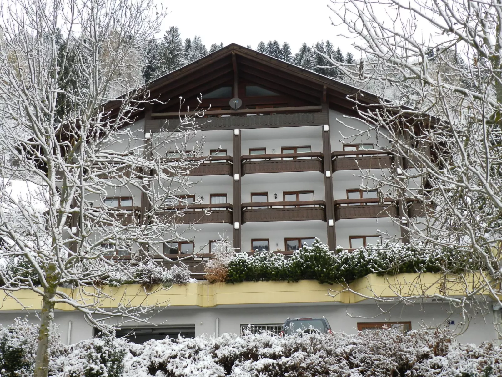 Lisa-Image-tags.info