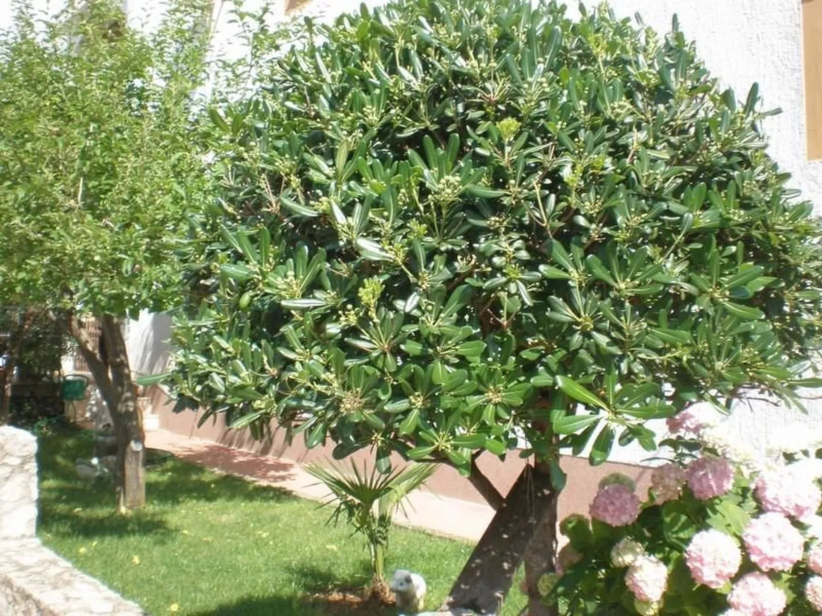 Apartment mit einem kleinen Wohn- und Essbereich und Schlafzimmer-Buiten