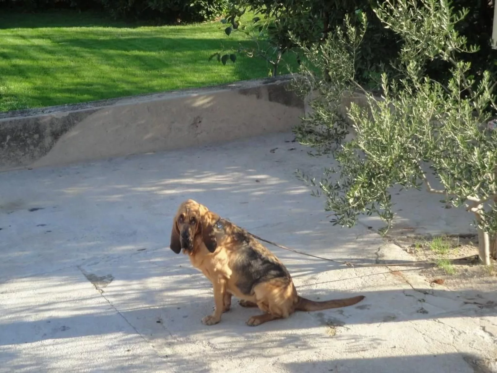 Apartment TOP 3-Buiten