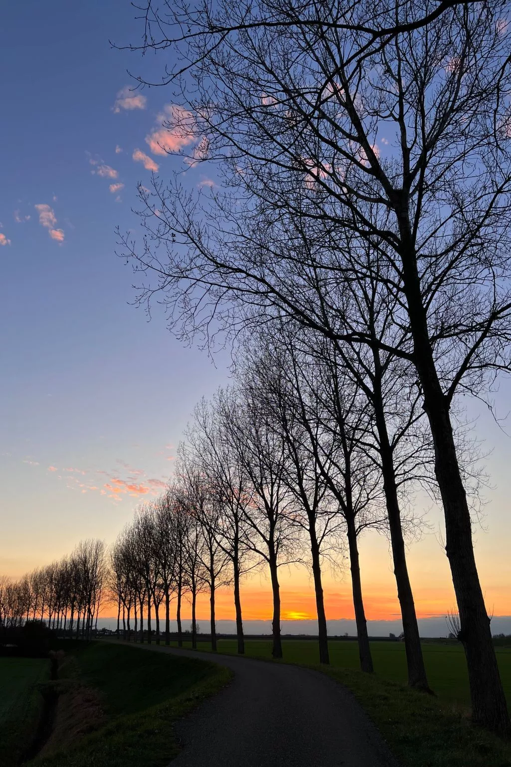 In Stavenisse mit gemütlicher Terrasse-Buiten