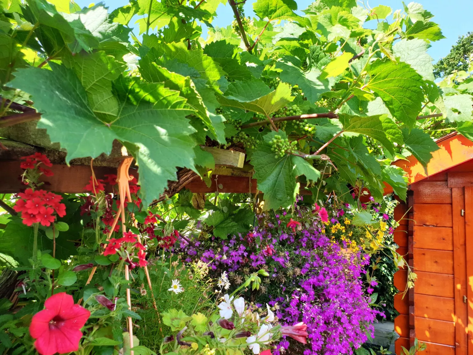 Sommerhaus Klein Wimmenum, Nähe Strand und Dünen