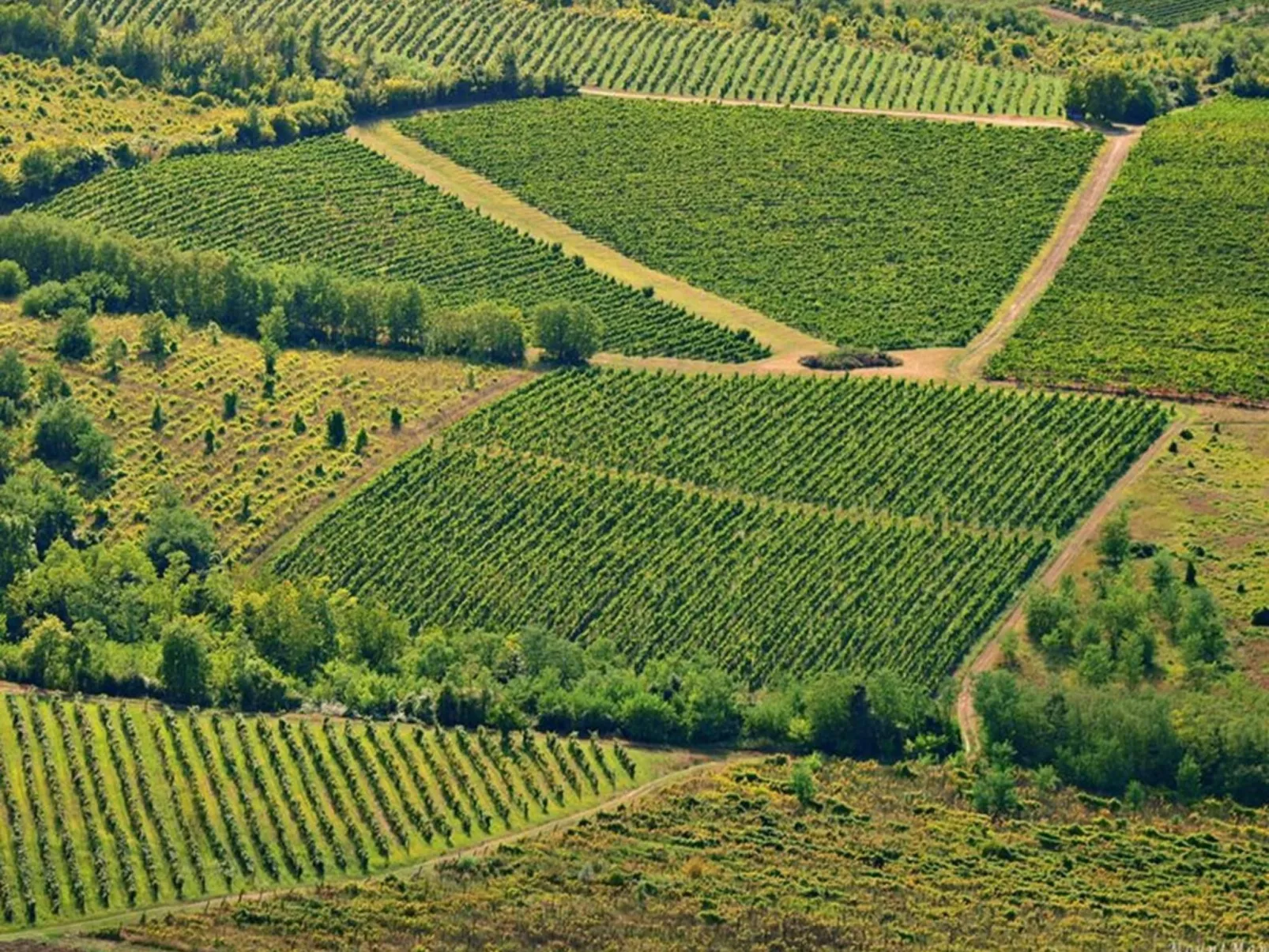 Beach House IVE, romantische Flucht, Jacuzzi, Pool, Meer-Buiten