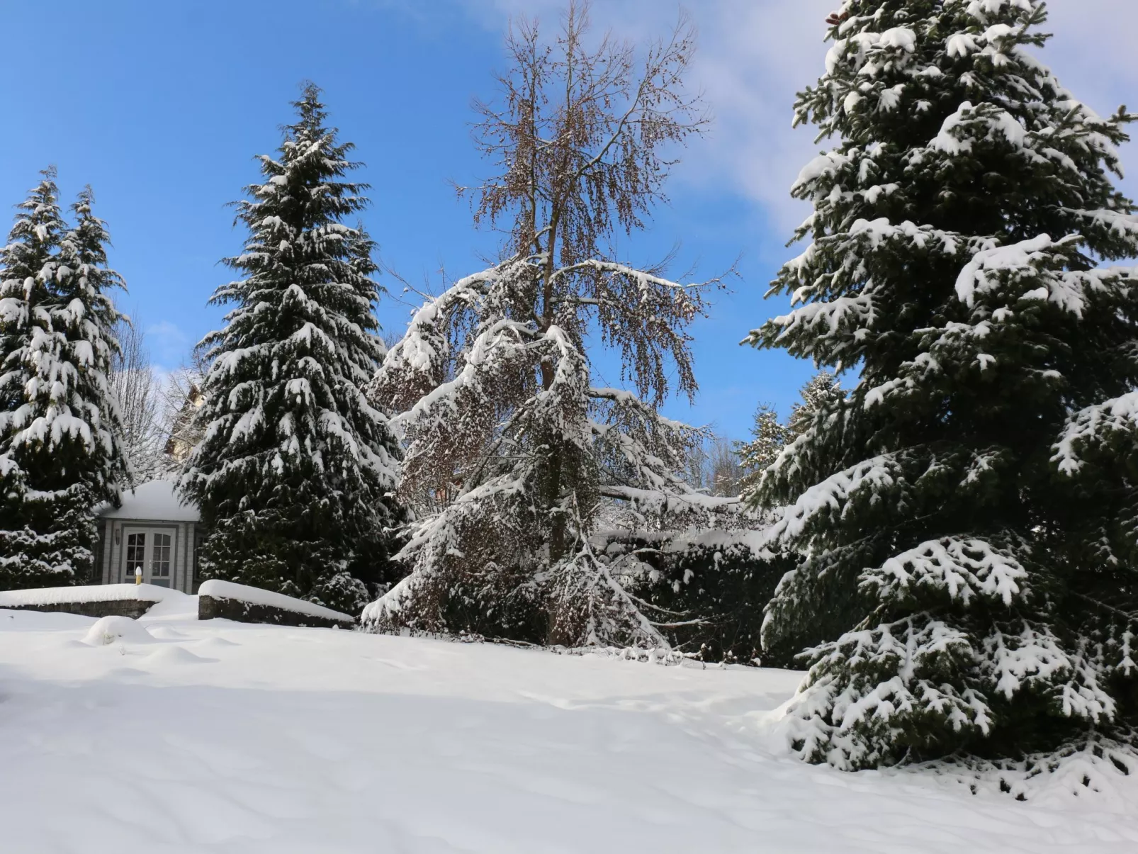 In Steina mit Kleinem Balkon - Buiten