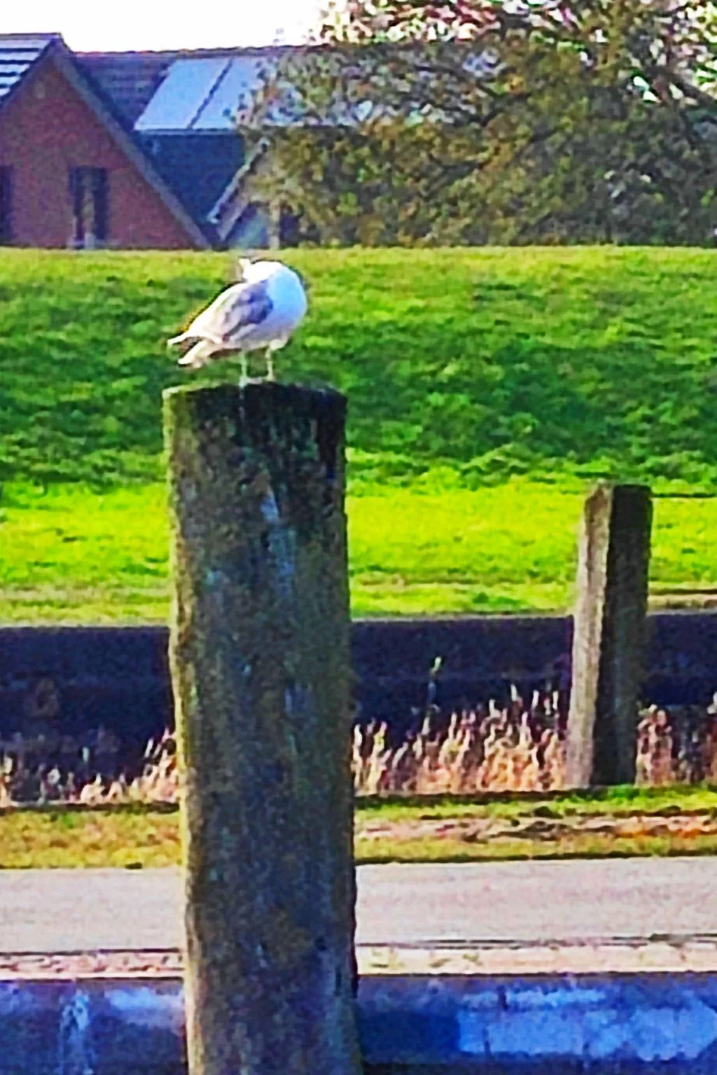 Ankerplatz 54 Grad-Buiten