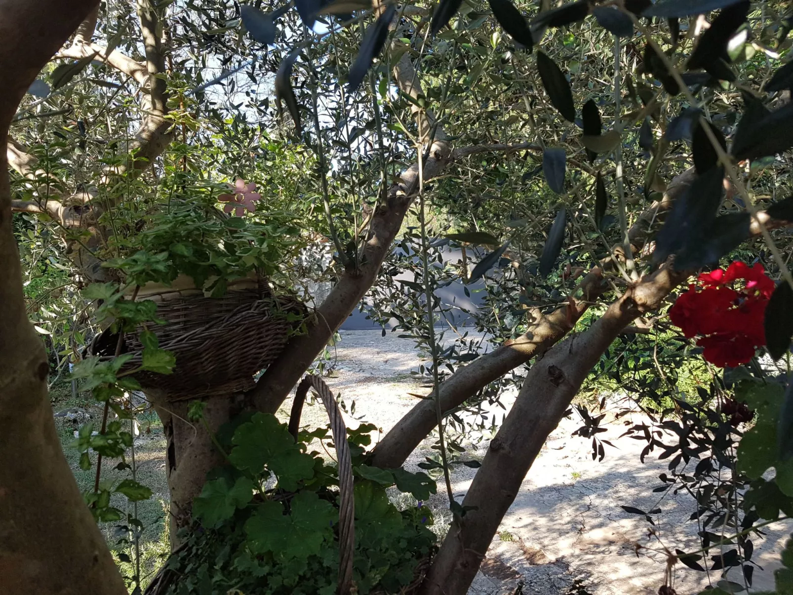 In Banjole mit Großem Garten