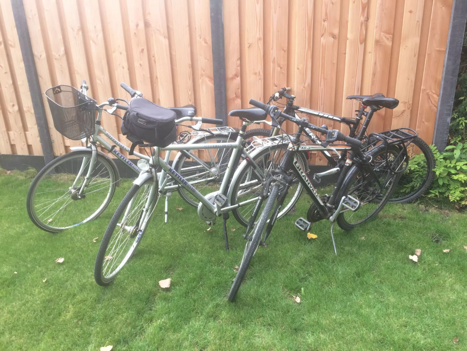 Luxus-Ferienhaus mit Sauna und Kamin-Buiten