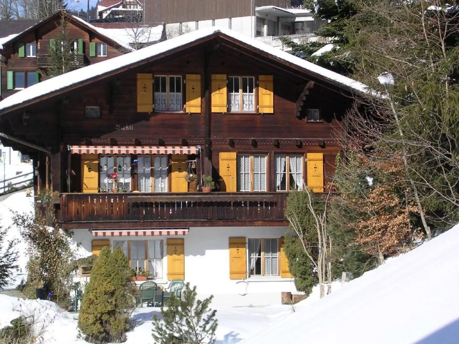 Chalet Birkli
