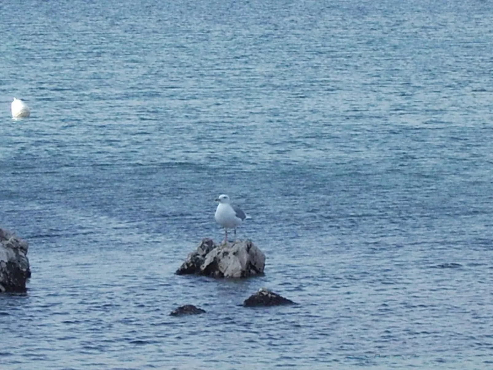 Mit Meerblick in Vinjerac-Buiten