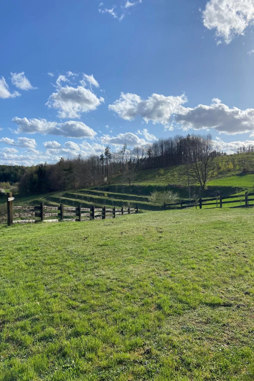 Alte Dorfschule-Buiten