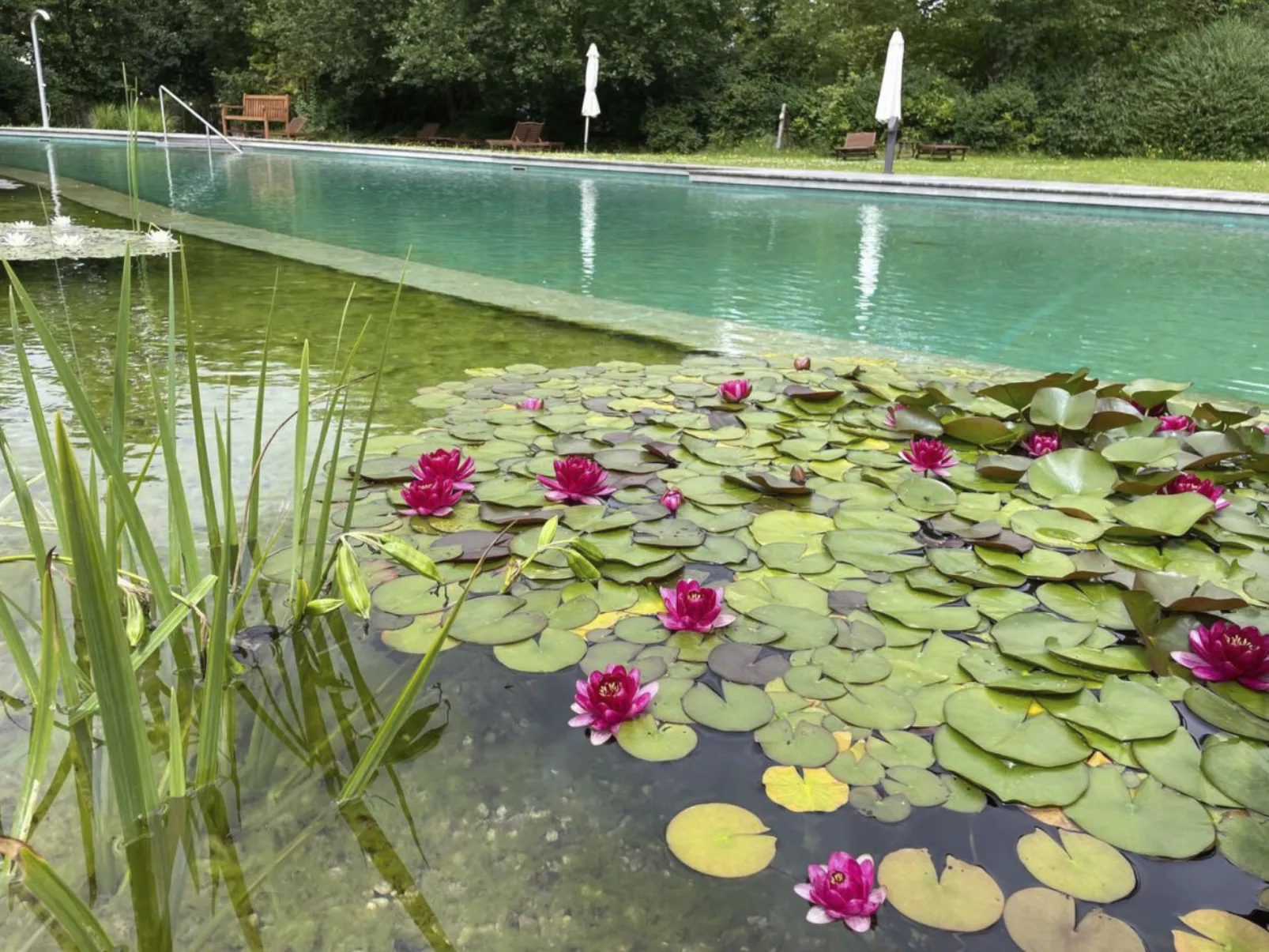 Haus Weitblick-Buiten