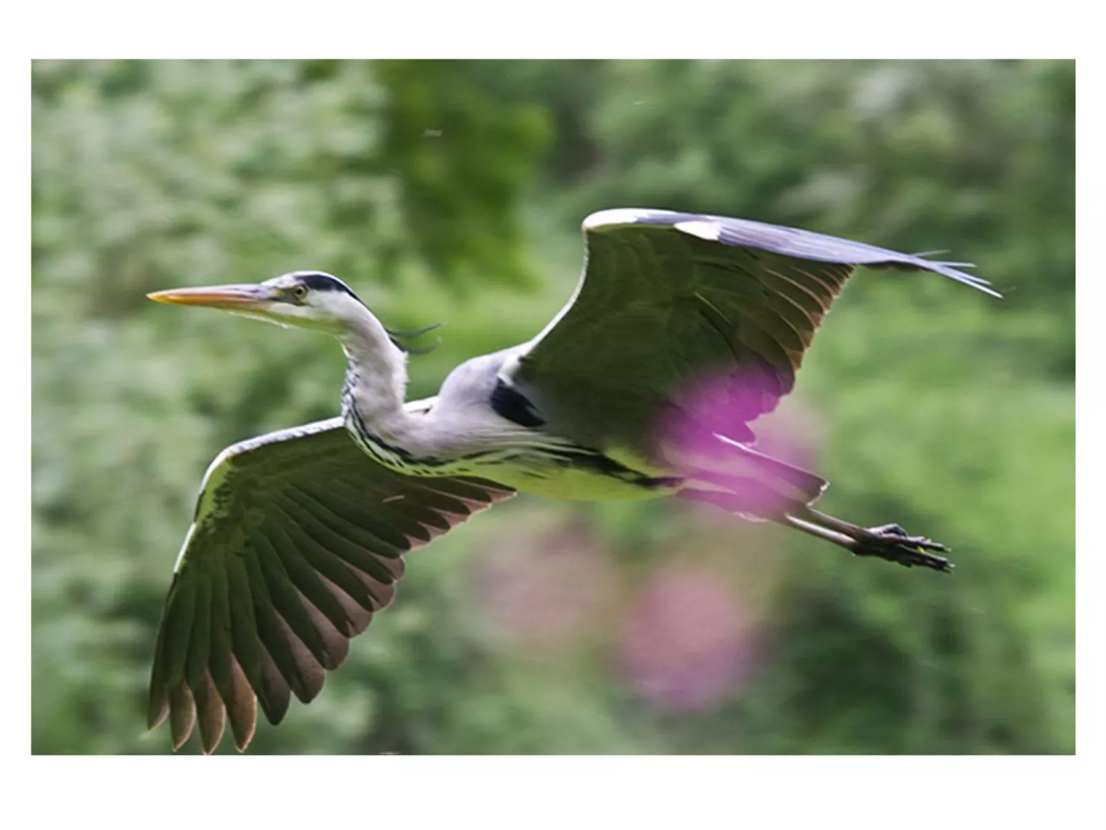 Großes Ferienhaus mit Terrasse und Garten-Buiten