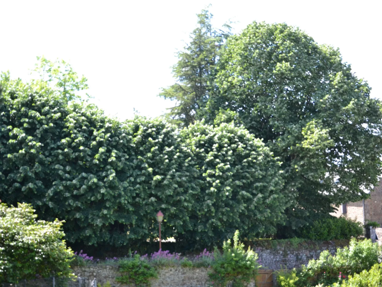 Villa La Côte du Chat -Familienhaus Bretagne-Buiten