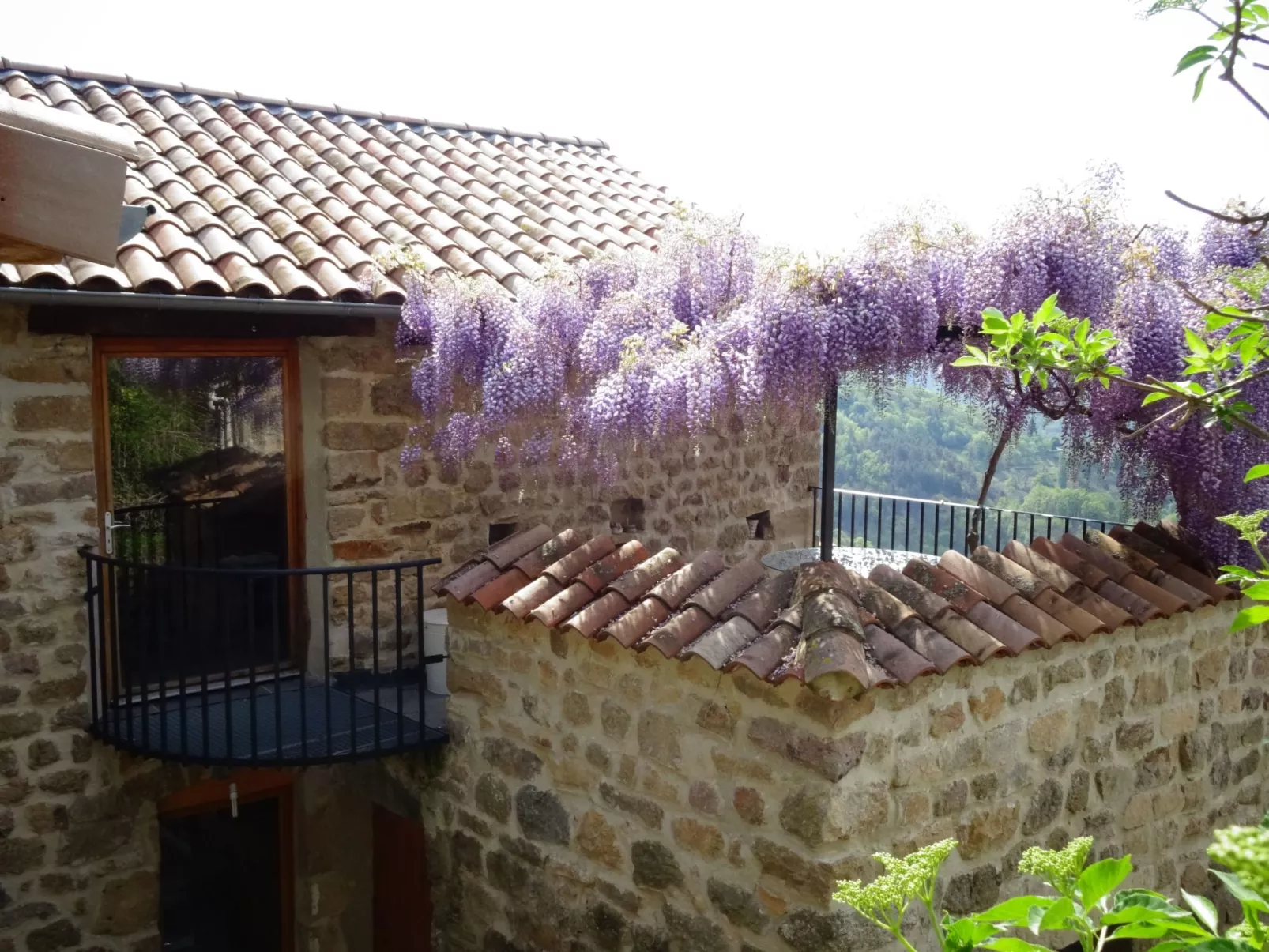 "Les Glycines"-Image-tags.info