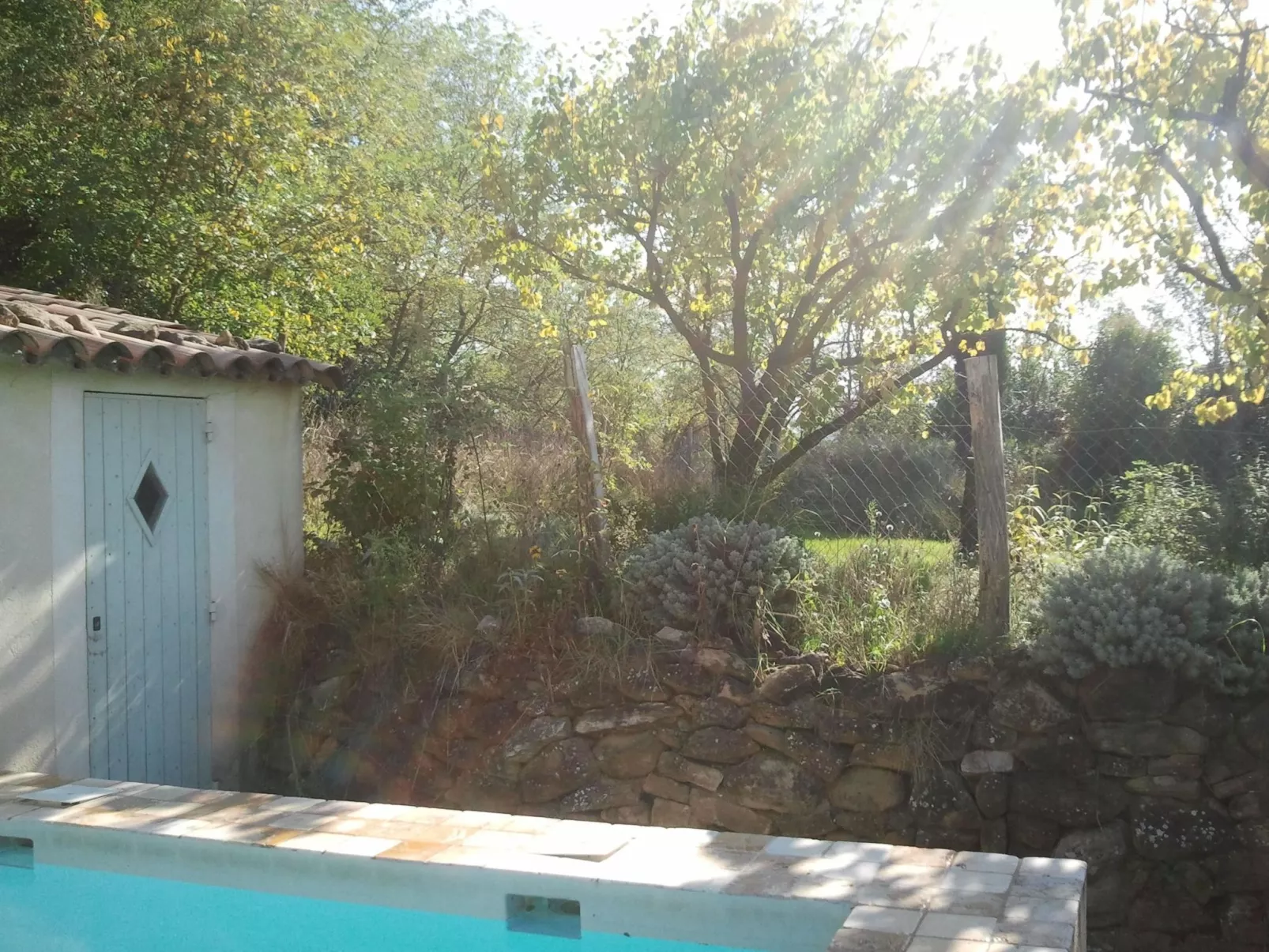 Mas de la damisello-Buiten