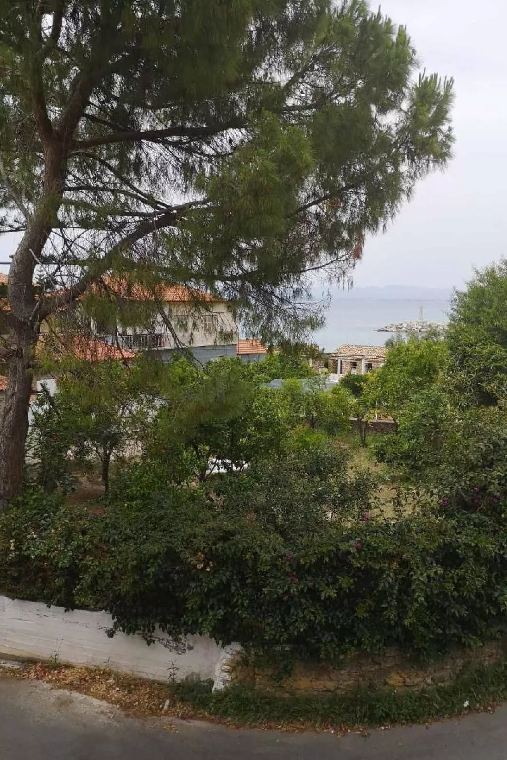 Mit Blick auf das Wasser-Image-tags.info