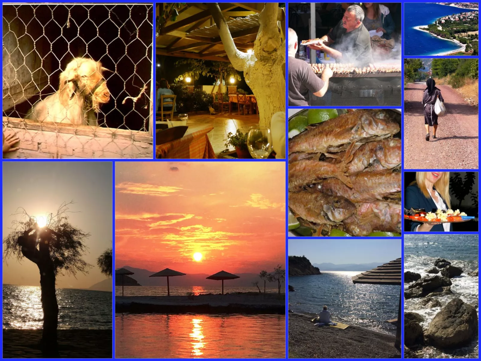 Spiti Louloudia-Image-tags.info