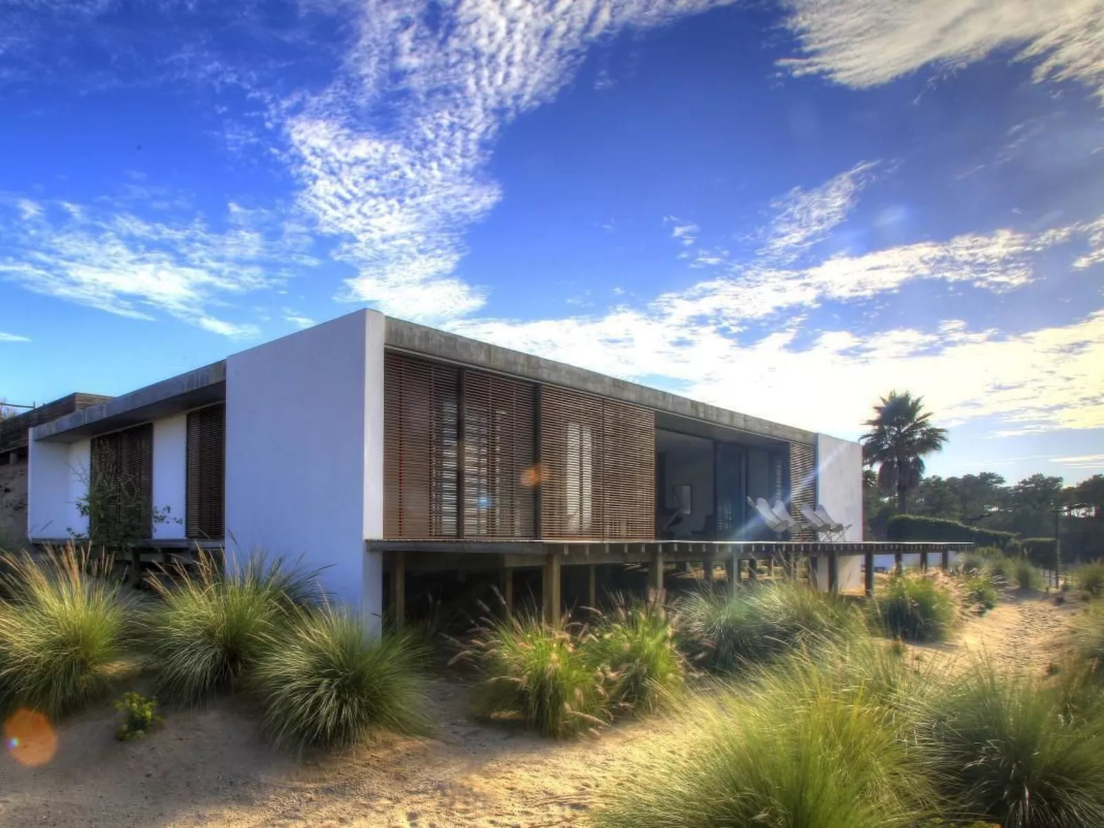 Exklusive Design-Villa in den Dünen, Pool auf dem Dach-Image-tags.info