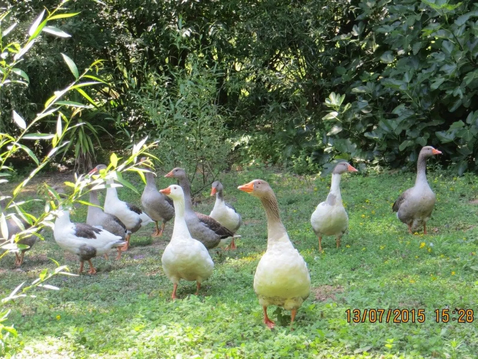 Maison du Moulin in Bauernhof-Buiten