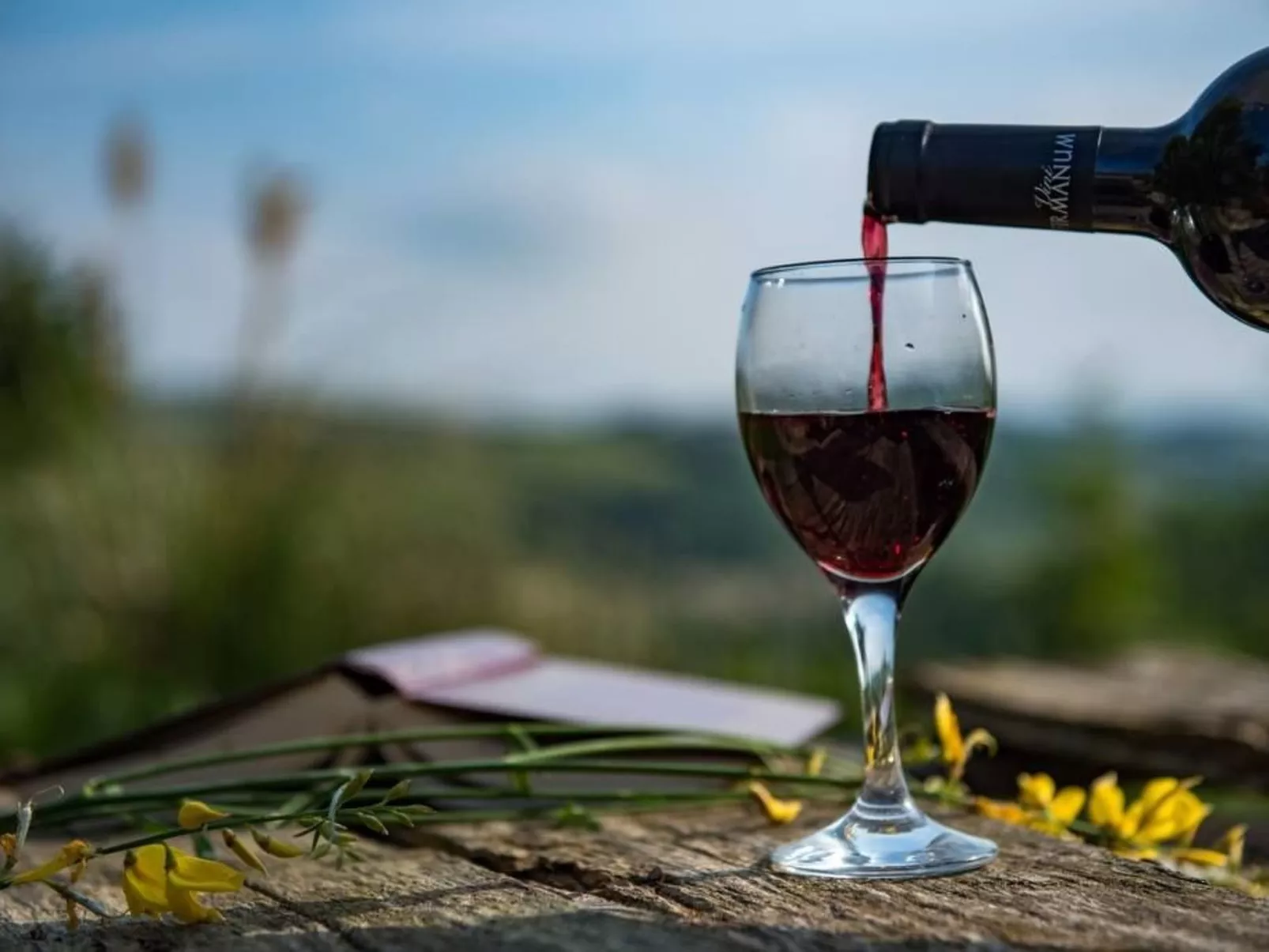 Villa mit Pool für 29 Personen ca. 800 m2-Buiten