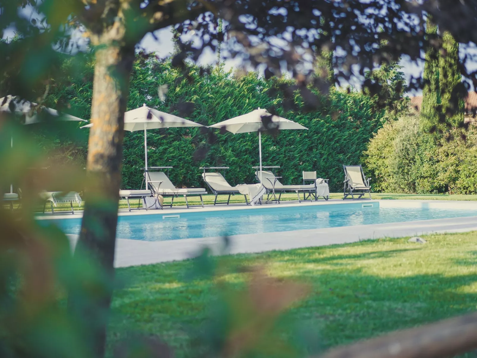 Tenuta "Podere Osteria"-Buiten