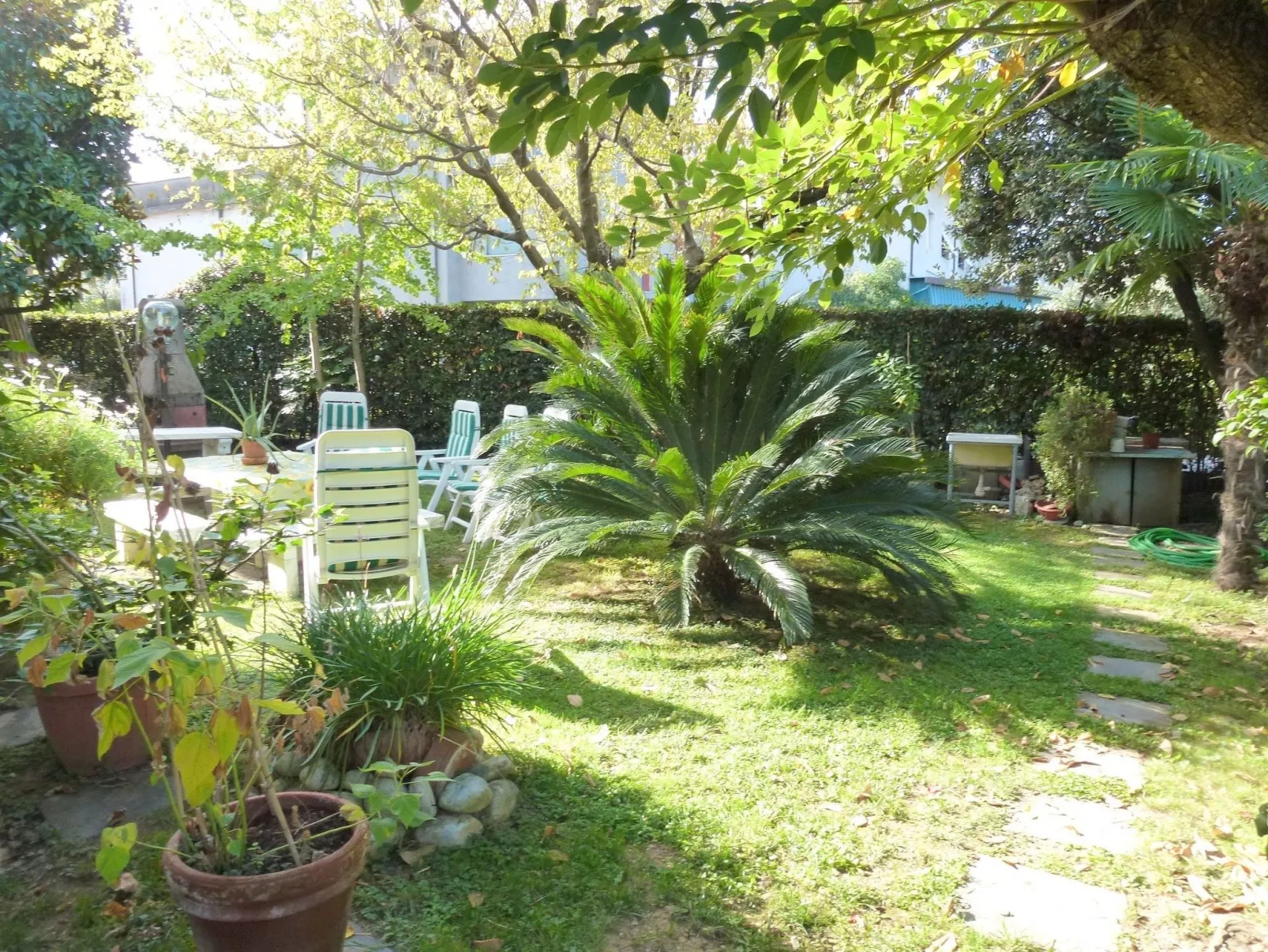 Casa Luisita-Image-tags.info