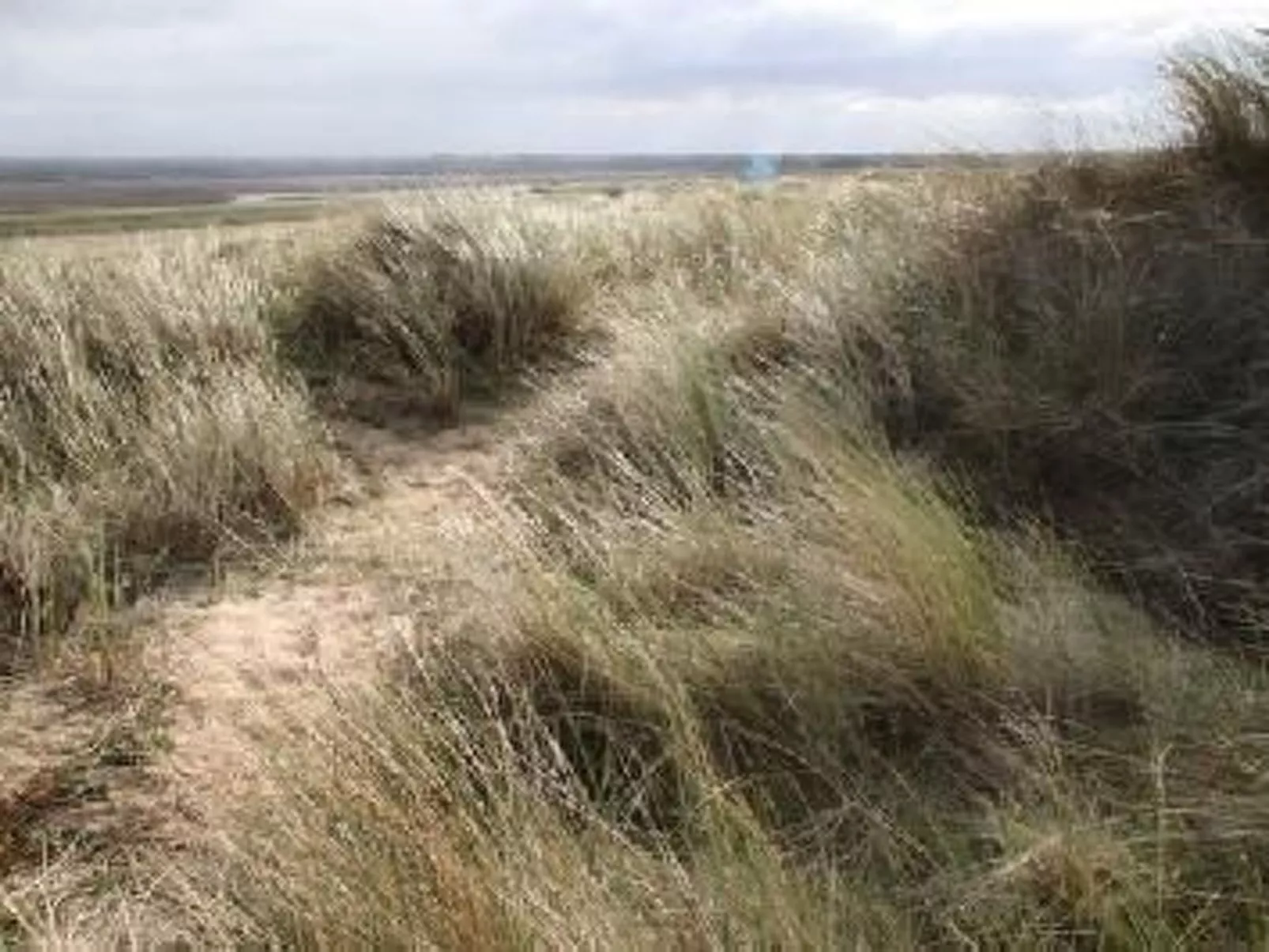 "8883" in Strandnähe-Buiten