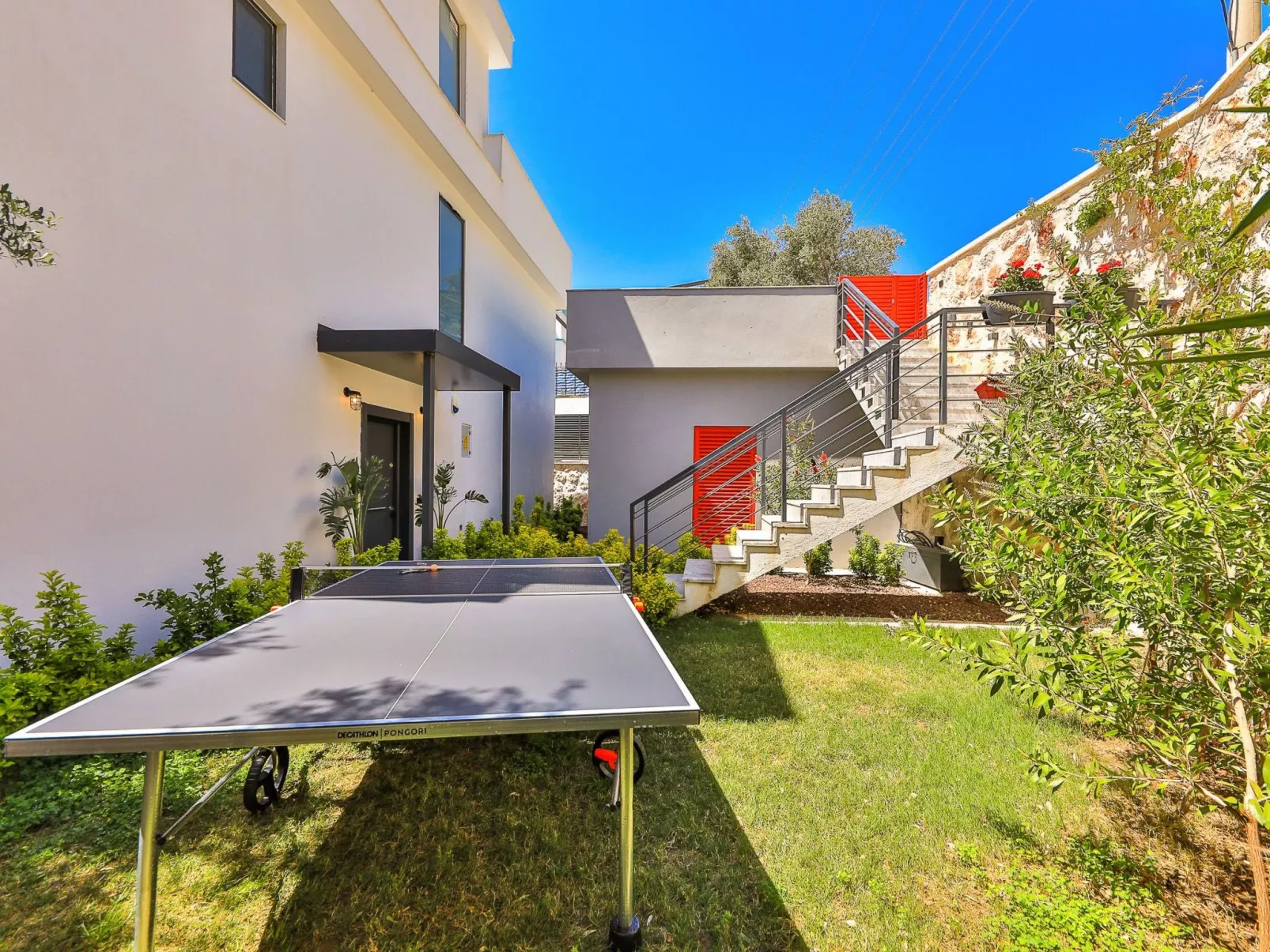 Rozo-Image-tags.info