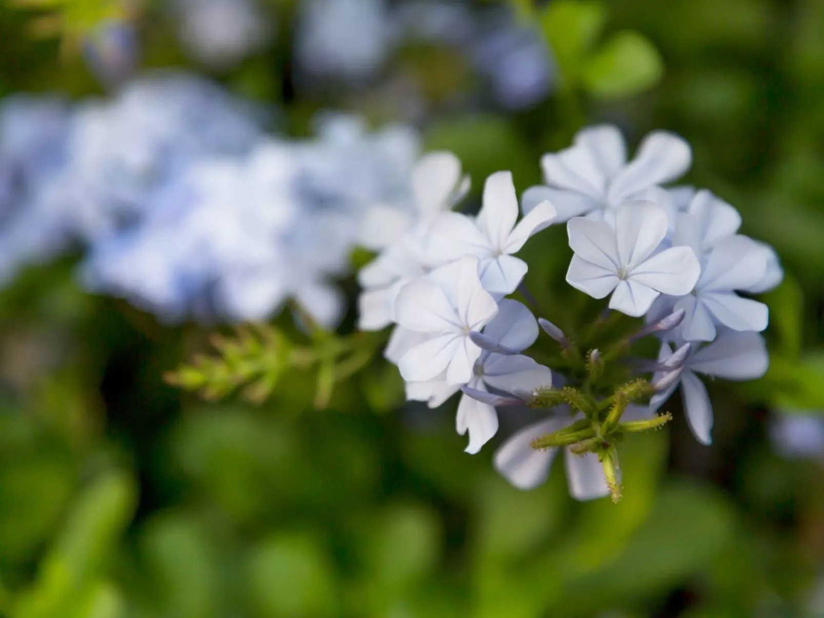 Moderne Villa nähe Meer in Kalkan-Buiten