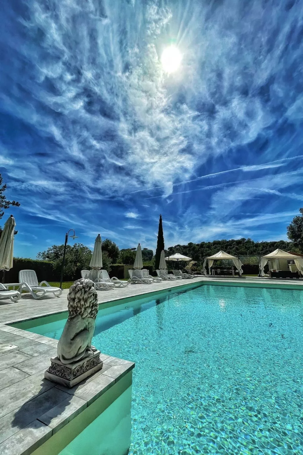 'Calla-Image-tags.info