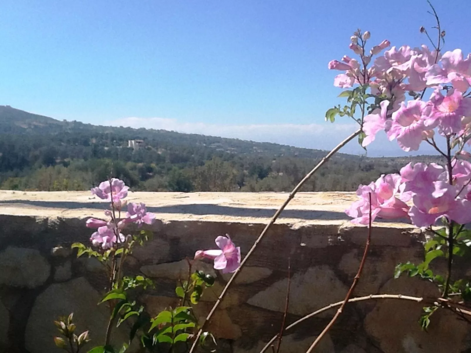 Villa Stefanos, Meerblick, privater Pool, Rethymno-Buiten