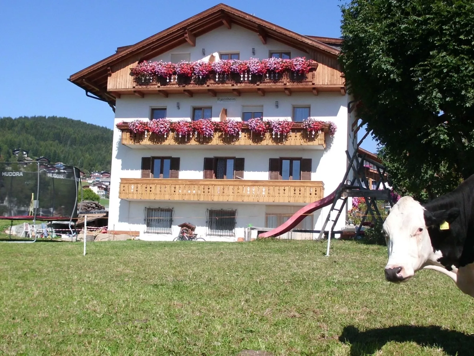 Rosenheim Appartement 2-Image-tags.info