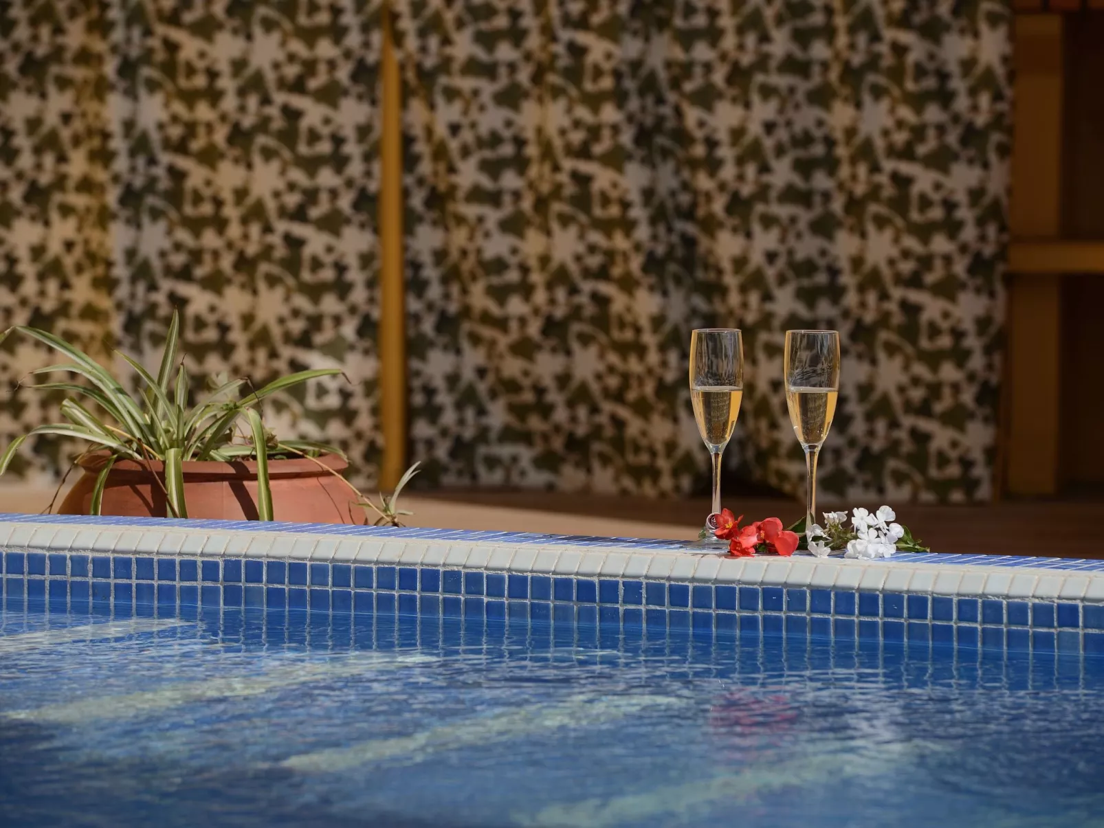 Mit Schwimmbad nur für Erwachsene-Buiten