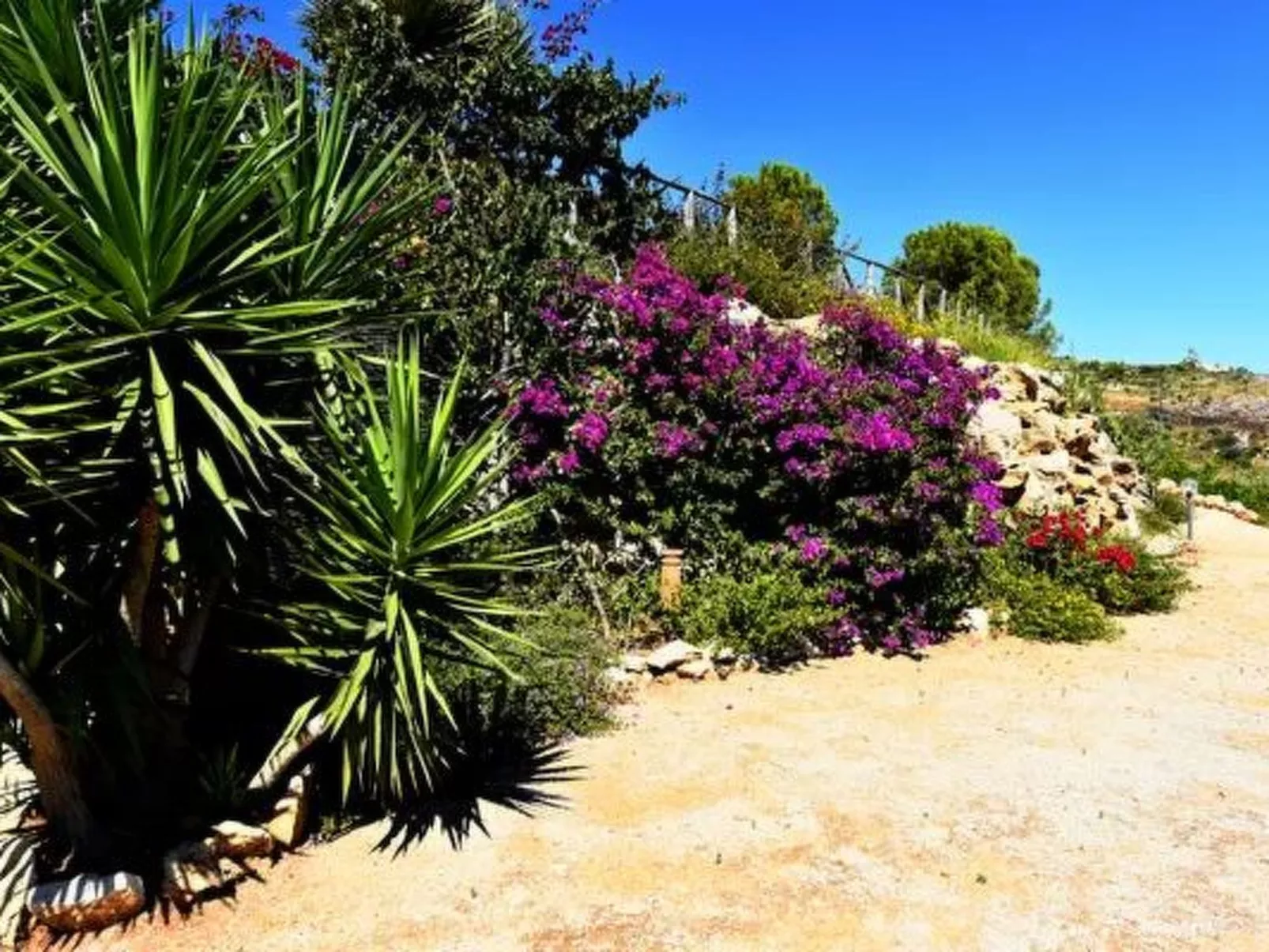 Villa Fenice Scopello Atemberaubender Panoramablick-Image-tags.info