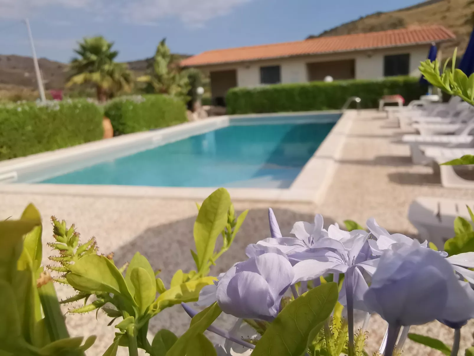 App 2 Studio-Wohnung 2 Plätze-Image-tags.info