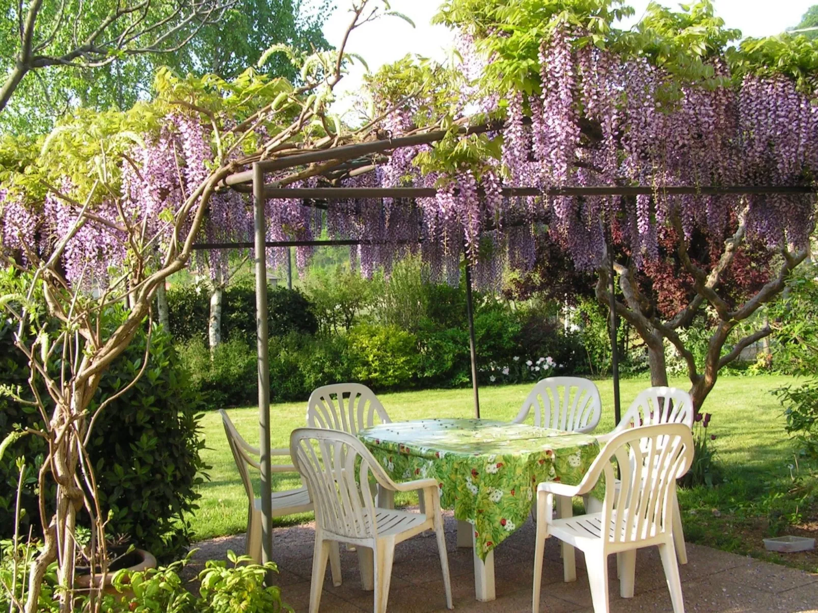 La Mimosa Franciacorta Lago d'iseo-Image-tags.info