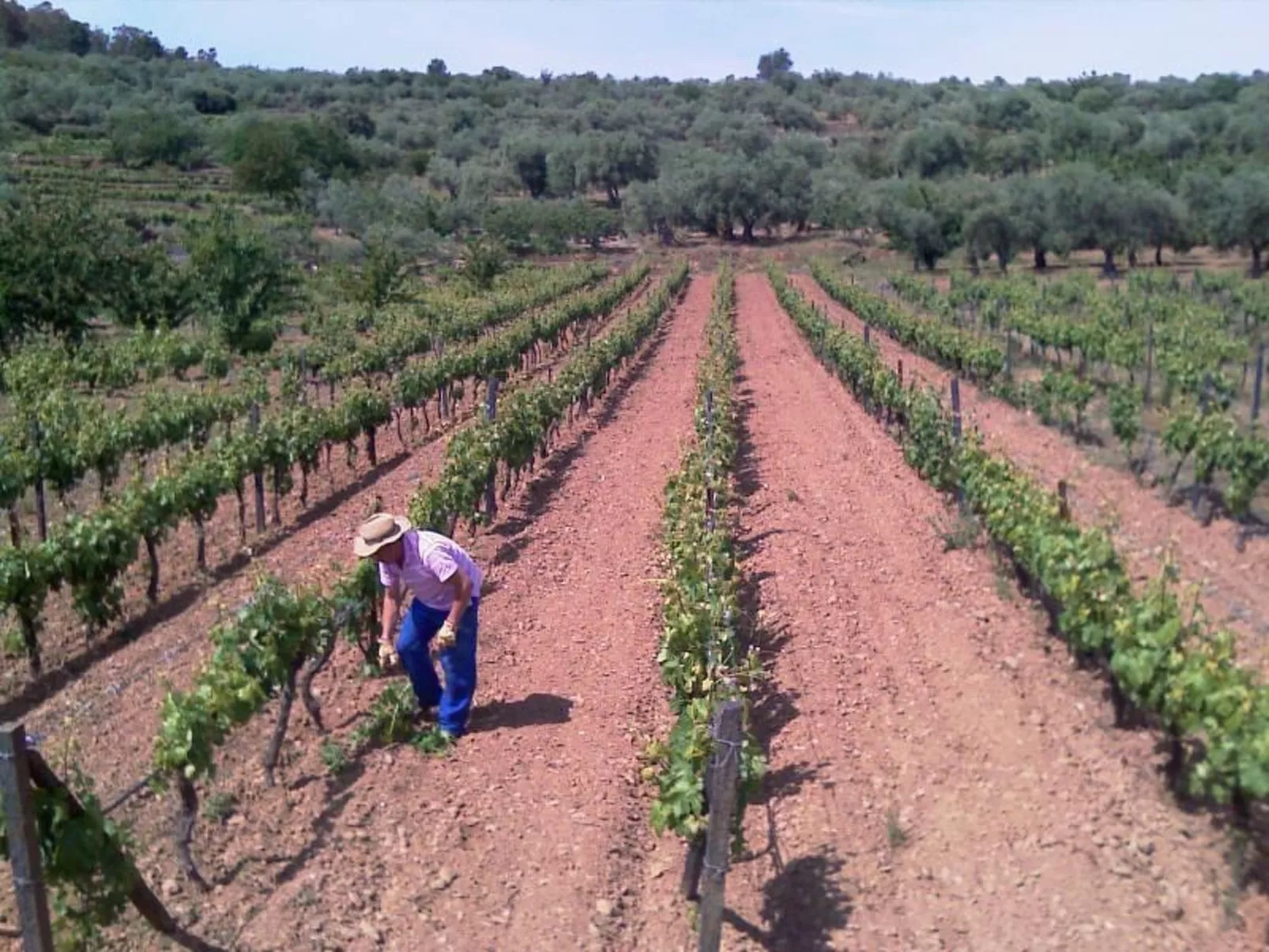 El Mirador del Soto-Buiten